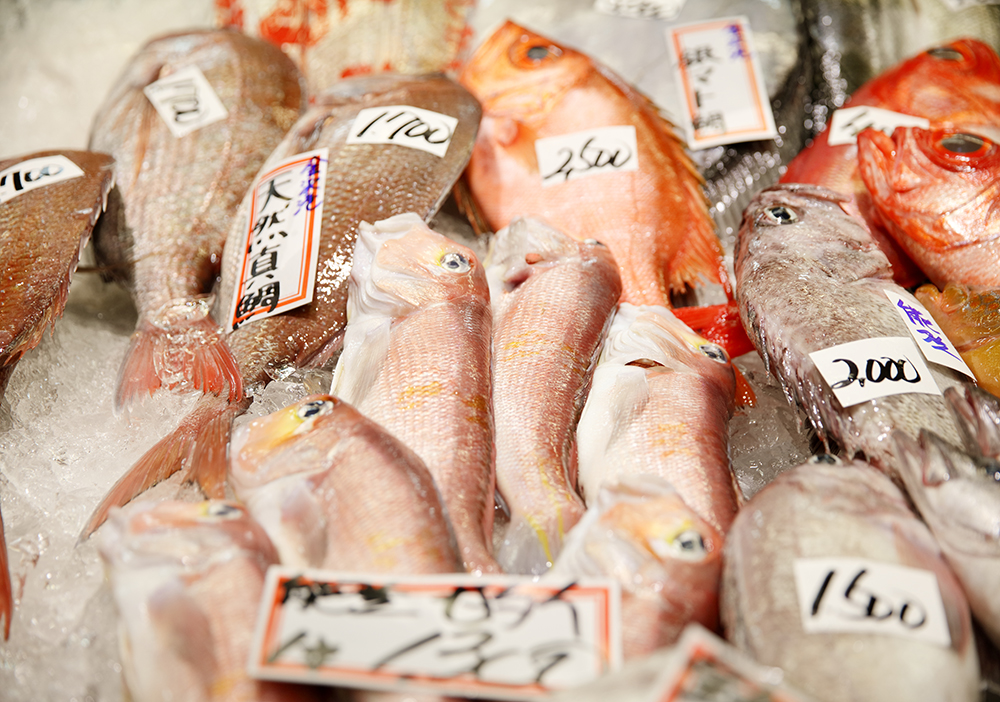 近江町市場の大口水産で買った魚をお料理いたします 金沢で新鮮鮮魚を使った料理を楽しめるおすすめ居酒屋 個室完備 せん金沢駅前店