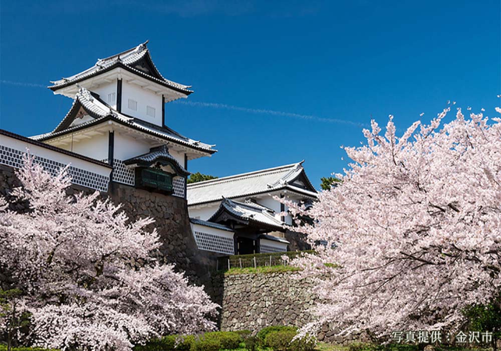 そろそろお花見の季節 兼六園や金沢城の桜とおいしいお料理を 金沢 富山で居酒屋などの飲食店を展開するファーストダイニング 大人数の宴会や歓送迎会 慶事などにも幅広く対応