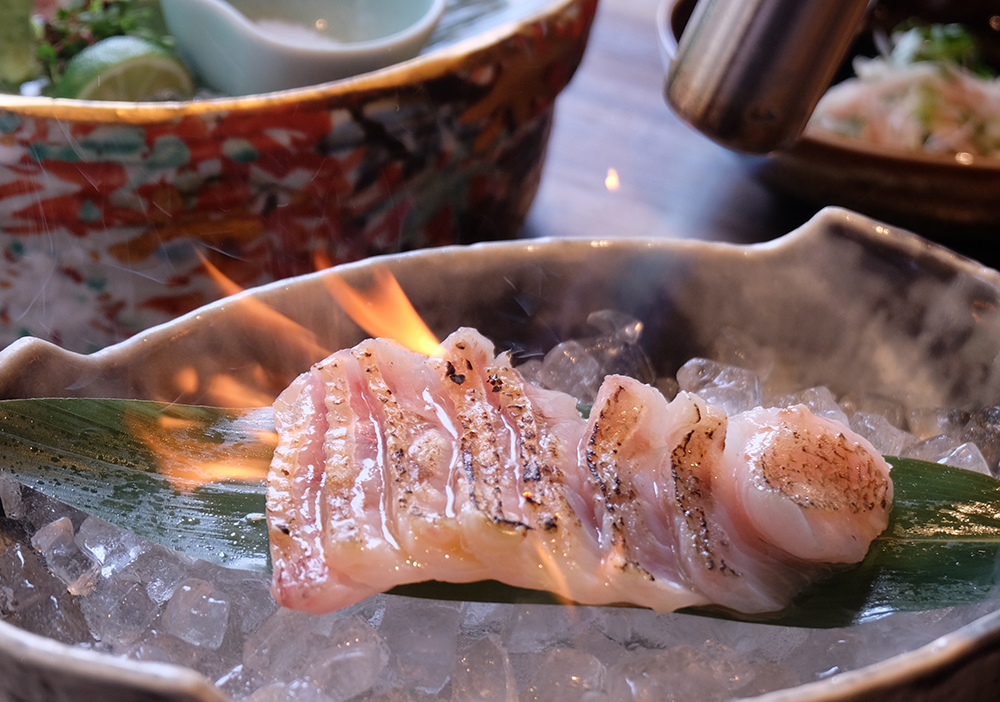 のどぐろが旬です 金沢でのどぐろ料理が楽しめるおすすめ居酒屋 個室完備 せん金沢駅前店